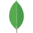 MongoDB Icon